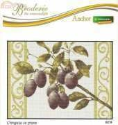 Luca-S B278 Plums on White (xsd)