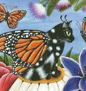HAED HAECH 006 Monarch Butterfly Fairy Cat - Carrie Hawks