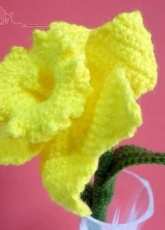 Melbangel - Amy Lim - Daffodil Flower