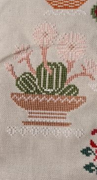 Owl forest - House plants. Part 6