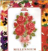 Millennium Calendar 2000 from The World of Cross Stitching TWOCS