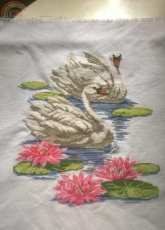 OOE SWANS ON 28CT