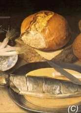 Golden Kite GK 1783 - Still Life with Stag Beetle