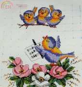 AMA 1857 -Happy birds!