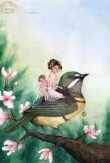 HAED - HAEKRM 1926 Fairy Warbler by Kirstin Mills