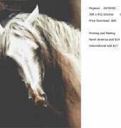 Classic Cross Stitch AN231 Pegasus