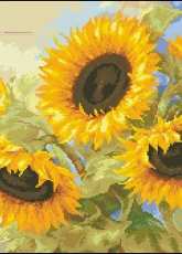 Alisa 2-30 Sunny dreams pcs