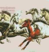 Dome 81102 Eight Horses