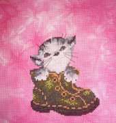 kitty in shoe