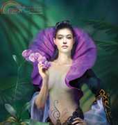 HAE Purple Orchid - Drazenka Kimpel