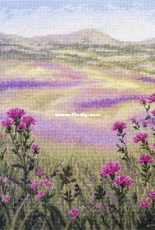 Olanta VN-022 Meadow Secrets XSD