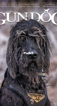 Gun Dog - November 2025