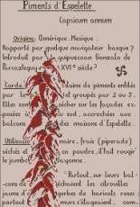 MTSA - Piments dEspelette