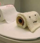 Toilet Paper by Anna Hrachovec /Mochimochi Land-Free