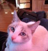 my new love of my life