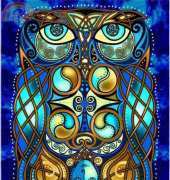 HAEJDE106 Blodeuwedd the Owl