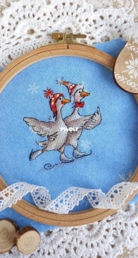 Geese. Skates by Toma Mishukova