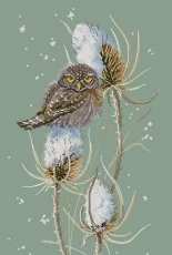 Golden Hands NP-003 Eurasian Pygmy Owl / Золотые Ручки НП-003 Воробьиный Сычик