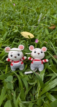 Mouse