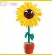Katja Heinlein - Susy Sunflower