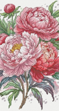 Peonies by Maria Brovko SAGA