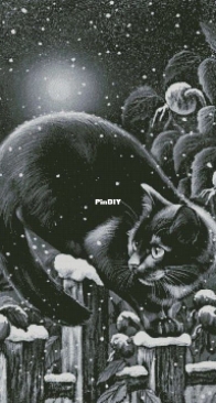 Chimera - A Walk Under The Moon XSD