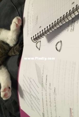 This is how i study