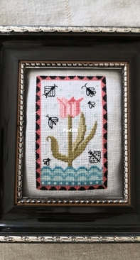 A tulip