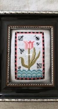 A tulip