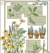 Herbal flowers