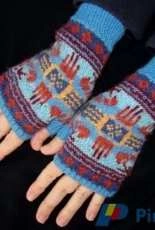 Albuquerque Fingerless Gloves by Cailyn Meyer -Free