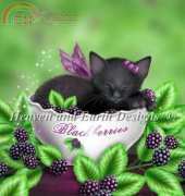 HAED HAEMED 12355 Blackberry Kitten by Melissa Dawn