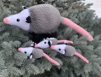 Mommy Opossum and Babies