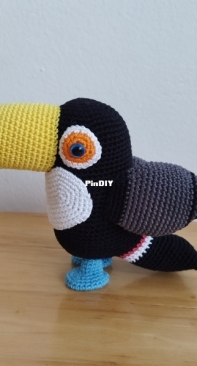 A beautiful Toucan