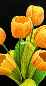 Natagor Finlayson - Tulips - English
