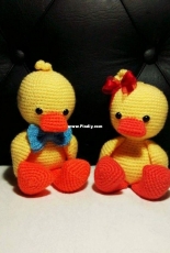 Little birds