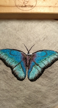 Butterfly