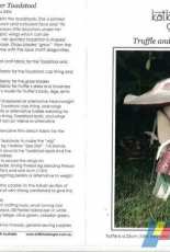 Katkins Designs-Truffle and her Toadstool
