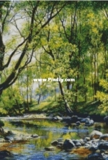 Chimera - Forest River