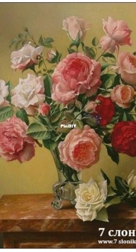 7 Elephants - Bouquet Of Roses