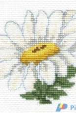 My flowers