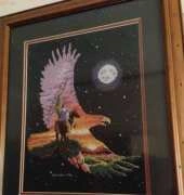 Indian Eagle framed