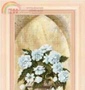 FIORI 33