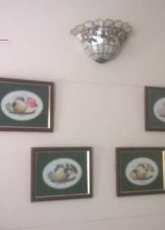 four seasons birds