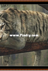 Witchykitt Designs - Sleepy Tiger