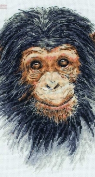 Cherub Monkey PCE741 Anchor