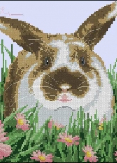 Rabbit Magic from Cross Stitch Collection 208
