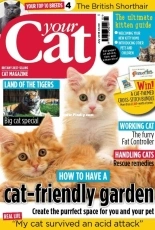 Your Cat - July 2018