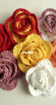 Life in small spaces - Elizabeth Gormley - Rose Pin - Free