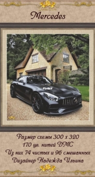 Golden Rose - 116 - Mercedes
